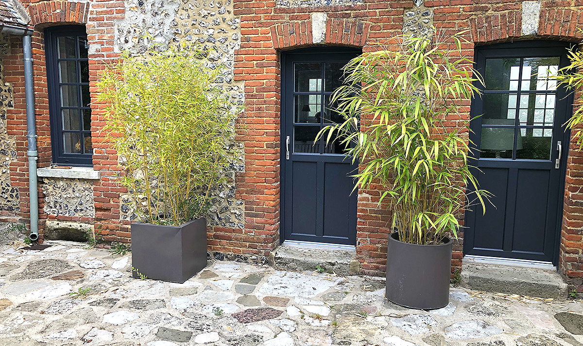 Deux grandes plantes en pot devant des portes noires et un mur en briques.